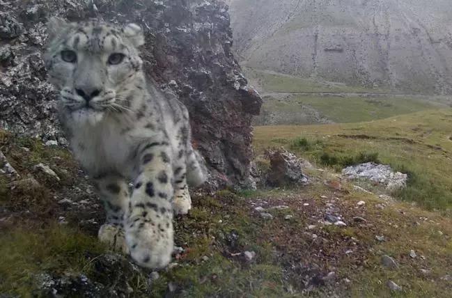 张掖啥意思,张掖古代叫什么