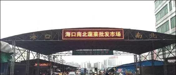 全国蔬菜批发市场十大排名图,全国各地大蔬菜批发市场现状