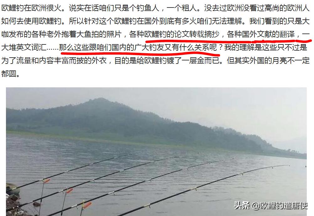 欧鲤钓必须用弯背钩吗,欧鲤钓真的那么厉害吗
