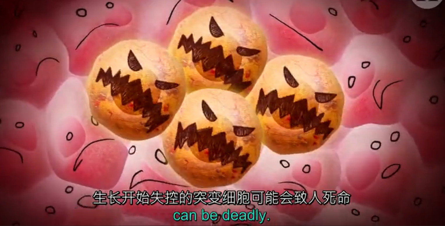 pd1肿瘤免疫治疗现状,什么是pd1免疫治疗费用