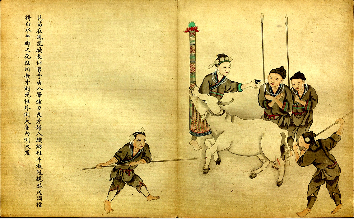 苗族巫蛊术来源于蚩尤吗,苗族巫蛊之术故事