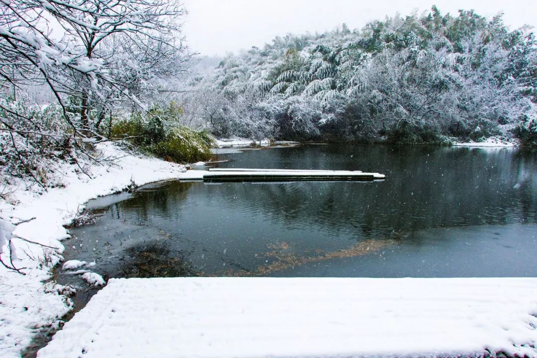 一个安徽爷爷，花1万块种出5000㎡私家花园，被评为中国最美