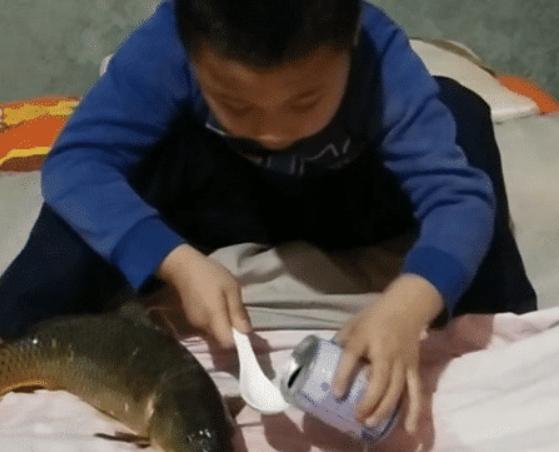 熊孩子给床垫“喂牛奶”，“牛奶床”，想想都觉得好奢侈