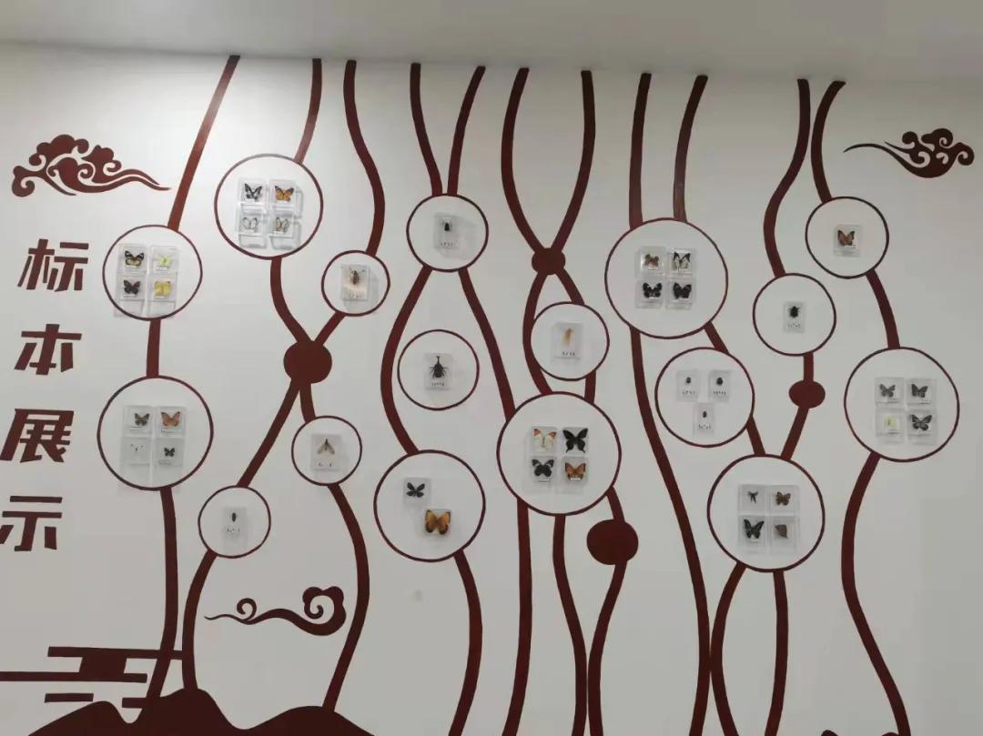 行走｜物华天宝宝华山