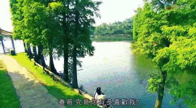 有什么影视作品是在佛山取景的,在佛山取景拍摄的影视剧