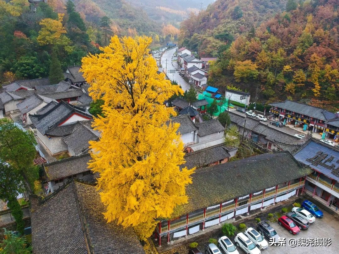 留坝秦岭之夜,留坝秦岭森林公园