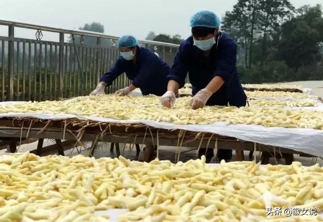 安徽颜值爆表的“姑娘”,她叫铜陵