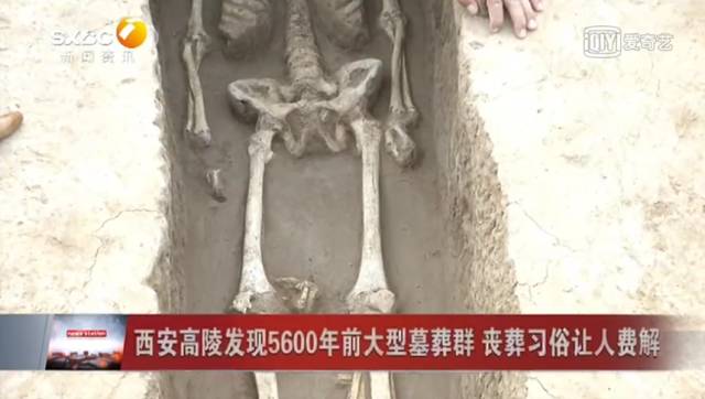 剁手意思是买还是不买,买东西剁手是买还是不买