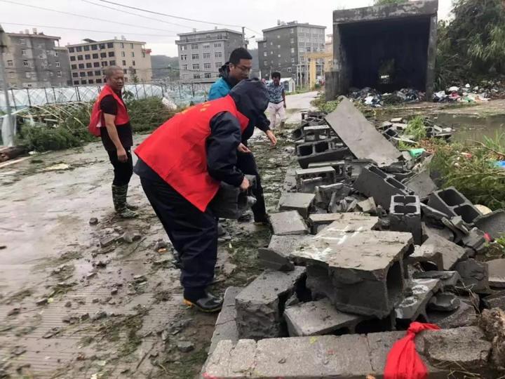 玉环民兵抗洪救灾,玉环市紧急救援