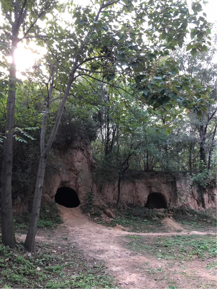 郑州免费公园树木园,郑州树木园开放