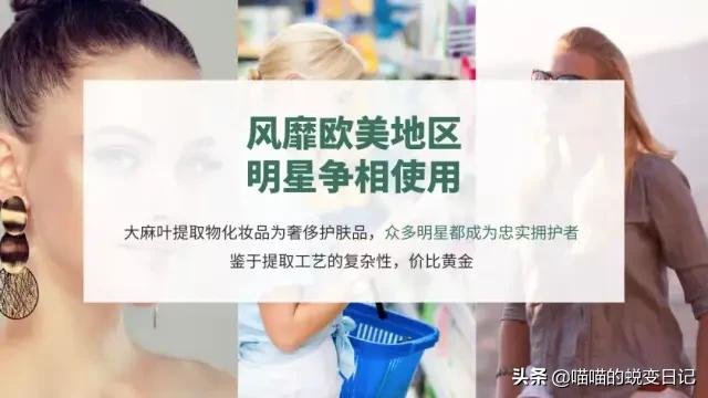 薇娅推荐+欧美国家断货，*麻大**CBD凭什么成为护肤网红成分扛把子？