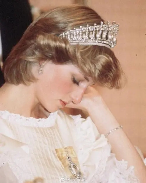 戴安娜离世最新消息,戴安娜一生的经历