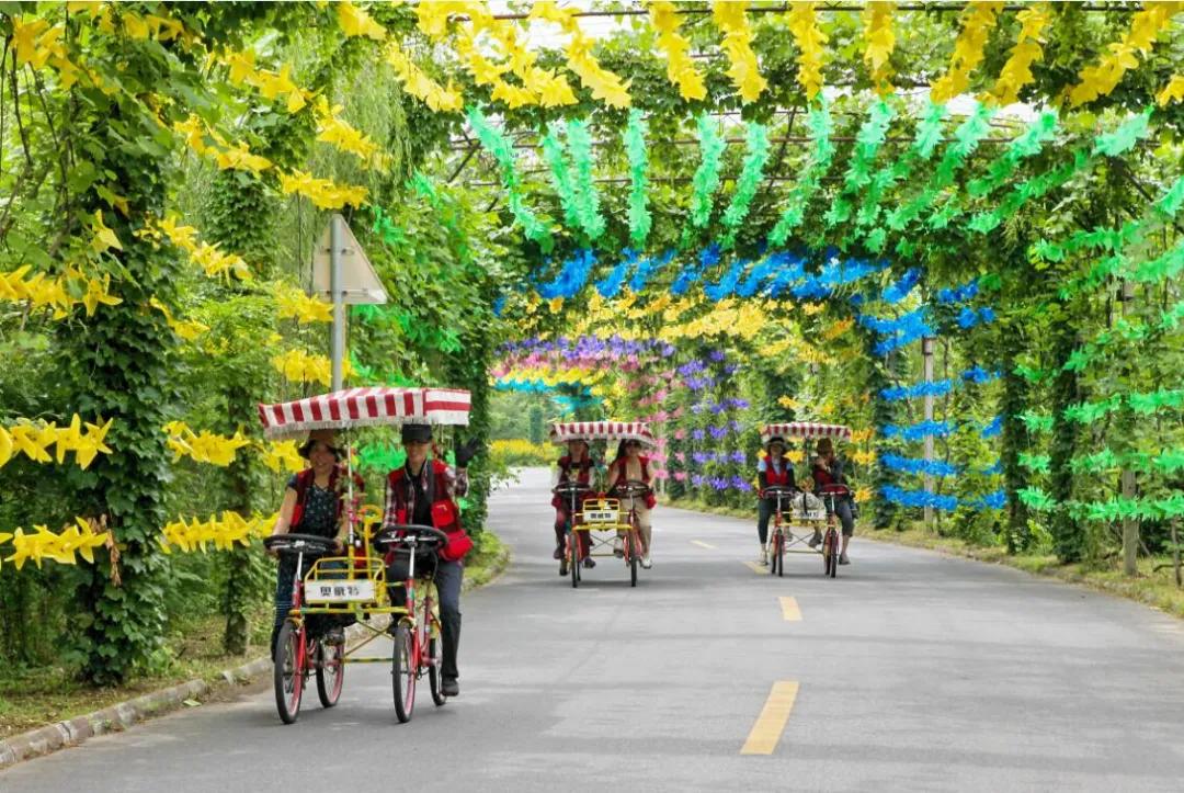 祖国颂|走进大梨树看小康