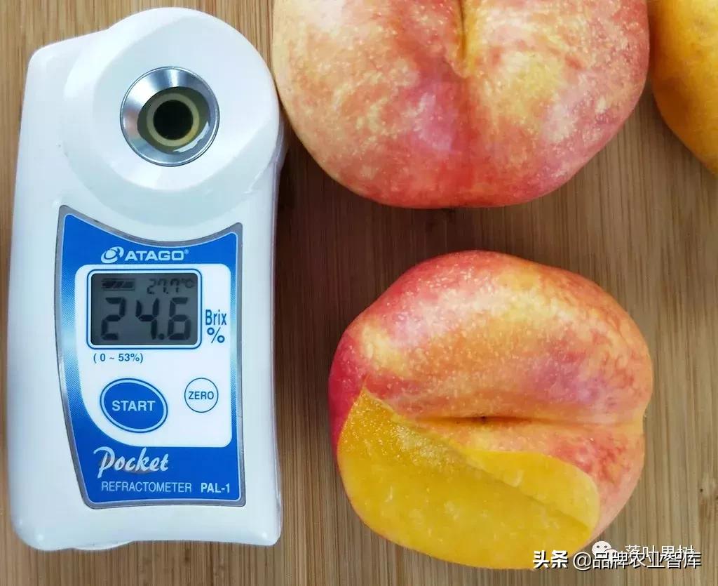 黄蟠桃和黄油蟠桃哪个更好,黄油蟠桃2019