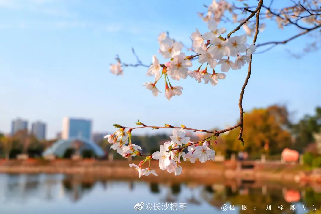 终于等到这一天完整版音乐,长沙适合社交的ktv吃喝玩乐好去处