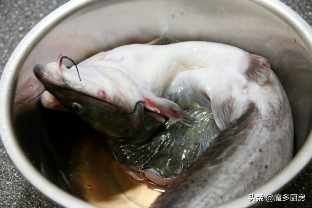 天热就想吃龙虾烤鱼,天热想吃鱼