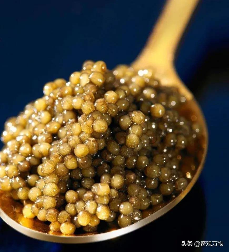 白化鲟鱼鱼子酱多少一条,鲟鱼鱼子酱值多少钱