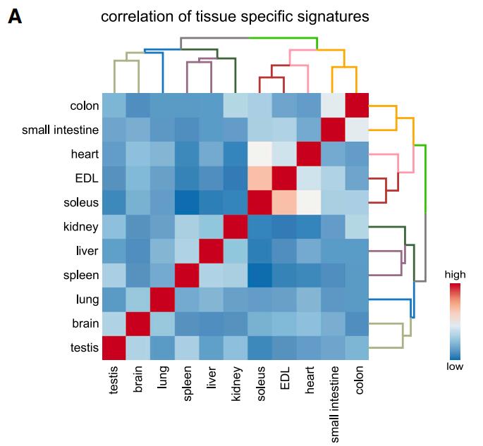 cell画图,cell作图教学