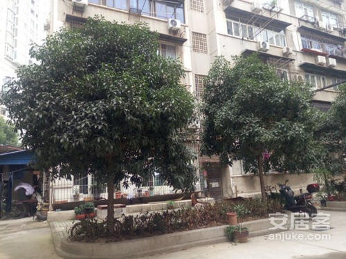 武昌小学对应学区房,武汉武昌区学区房价格