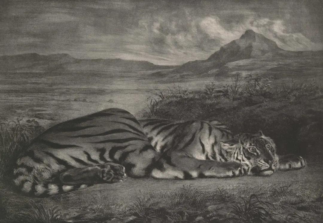 言志美术怎么样,言志美术