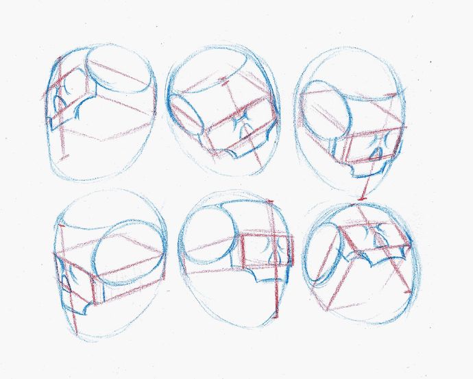 浜虹墿澶村儚缁樼敾鏁欑▼,鍔ㄦ极澶村儚缁樼敾鏁欑▼