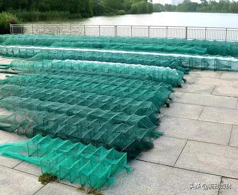 海鲜本身有多鲜,海鲜捕捞知识