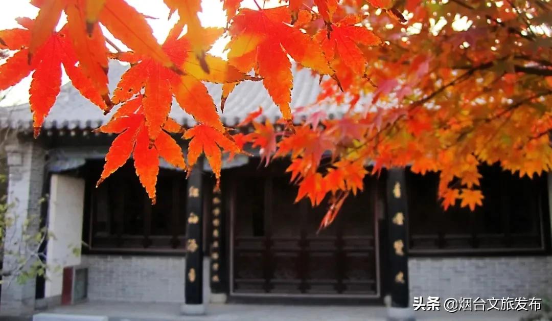 蓬莱美味,冬天蓬莱好吃的