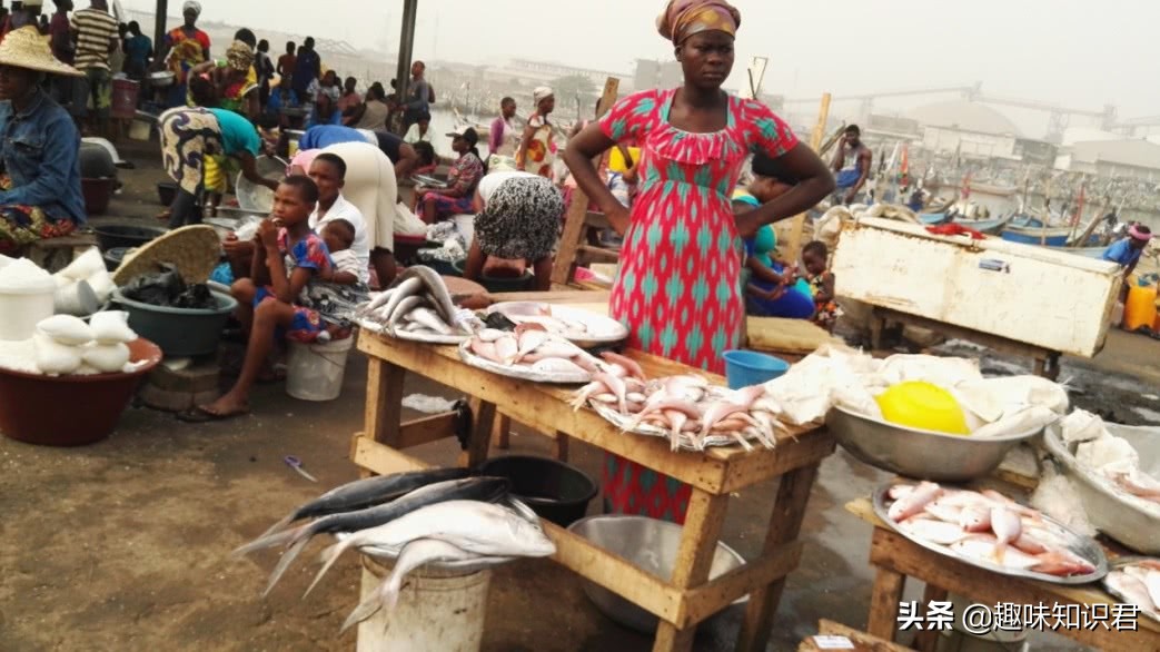 关于女性的趣味冷知识,受不了的趣味冷知识大全