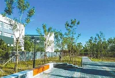 刚刚，海淀交出一份温暖的民生答卷！教育、医疗、住房、养老、交通……