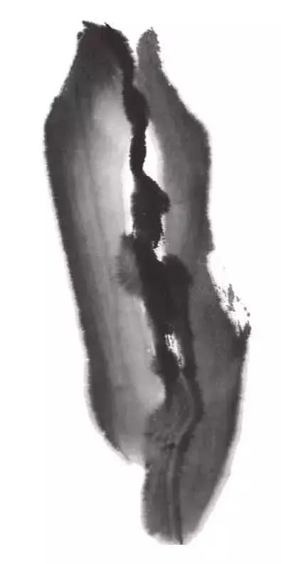 白描荷花的画法图片,如何画荷花国画白描