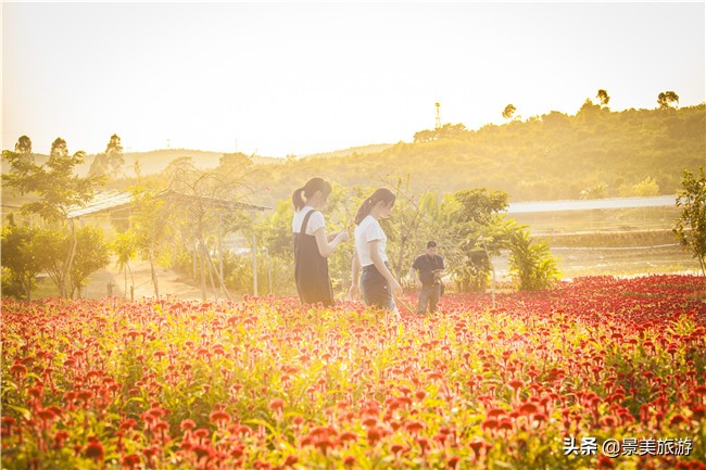 花都区美林湖度假区,花都美林湖风景
