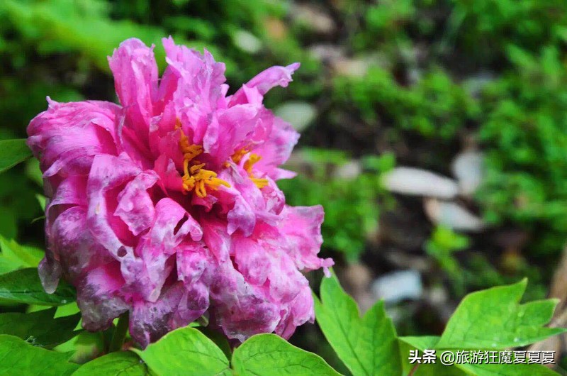 来点不一样的视频集锦,户外十大经典路线推荐