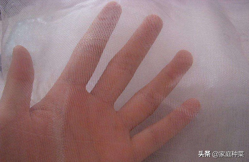 堆肥发霉怎么办,堆肥发臭很湿怎么补救