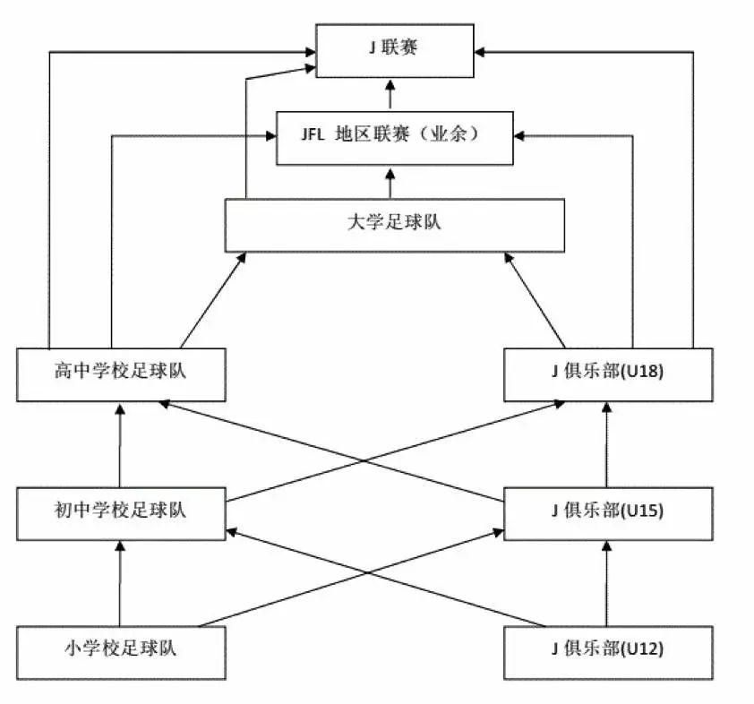 足球从娃娃抓起不再是一句口号,足球从娃娃抓起的前一句