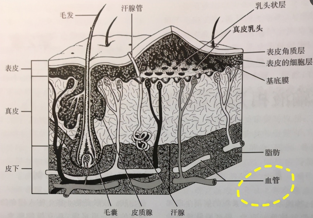 肌注回抽无回血拔针时有回血,肌注出现回血但是抽不动