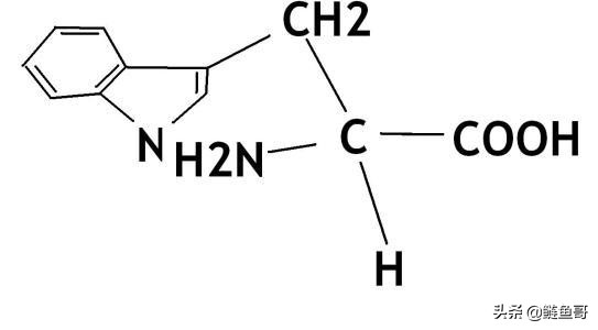 茶叶所含的都有什么元素,茶叶含有茶多酚有什么作用