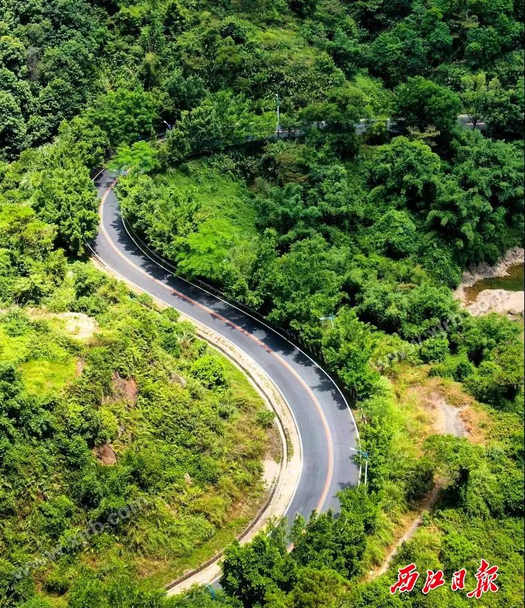 太美了！鼎湖这条宝藏级徒步线路，现在去刚刚好！