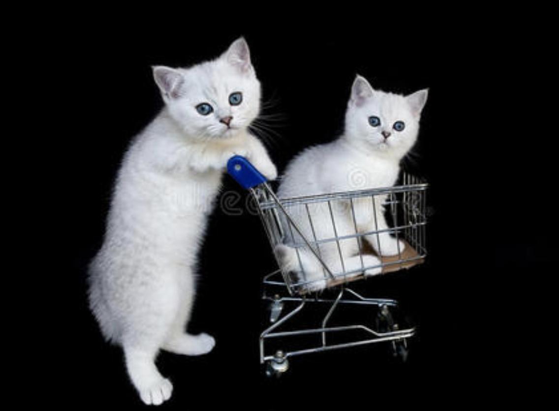 qq被冻结了这个号是不是没用,为什么一觉醒来发现qq被冻结了