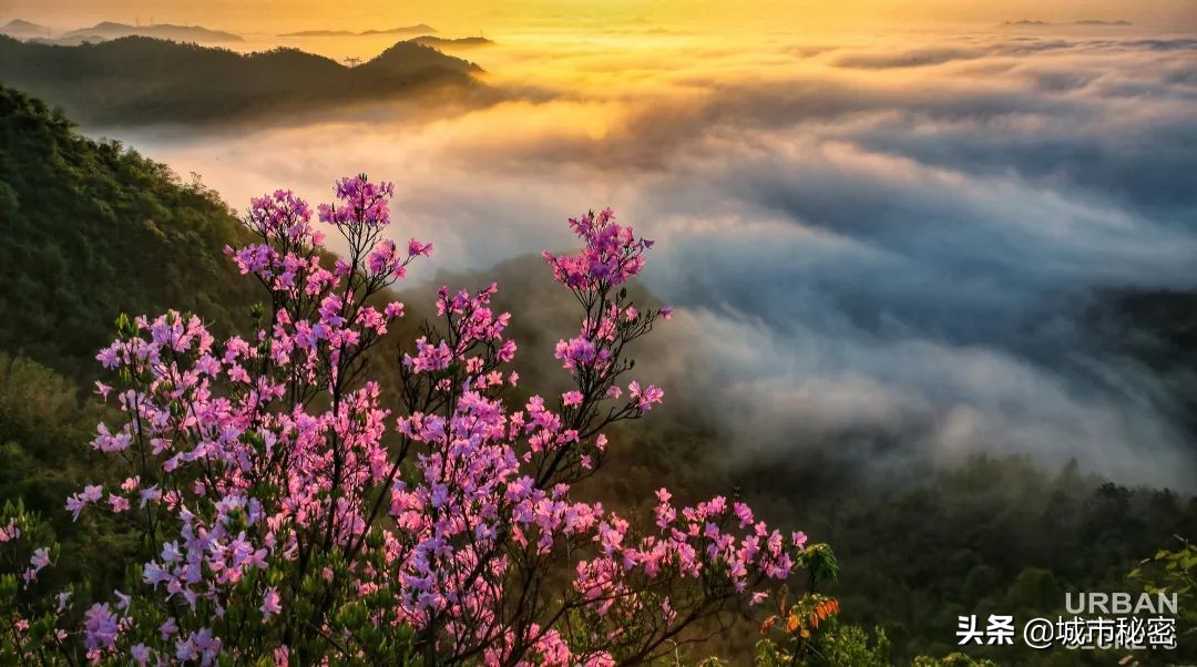 富阳是什么之乡,富阳原来属于哪个市