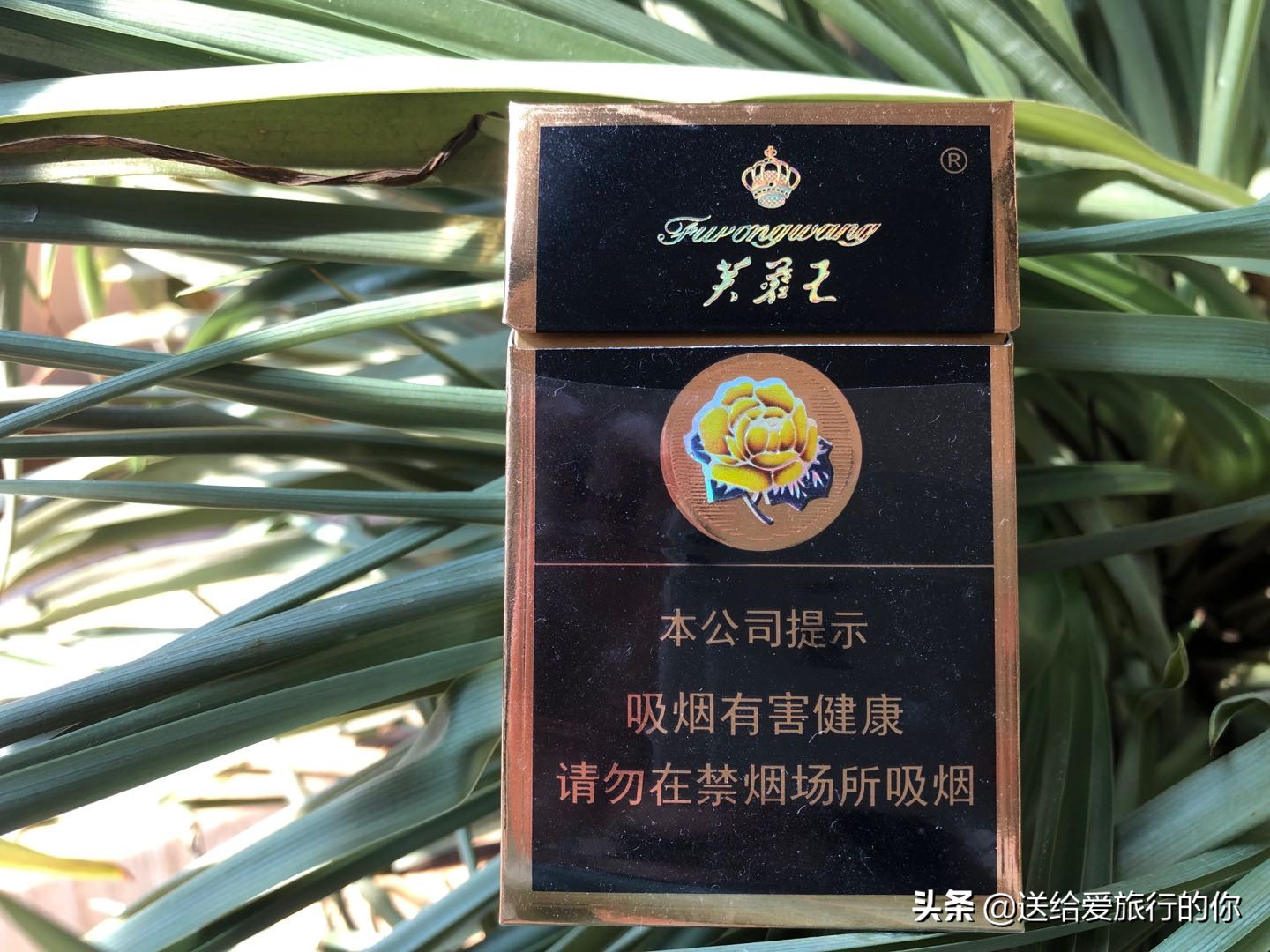 一支“香烟”带我们遨游中国