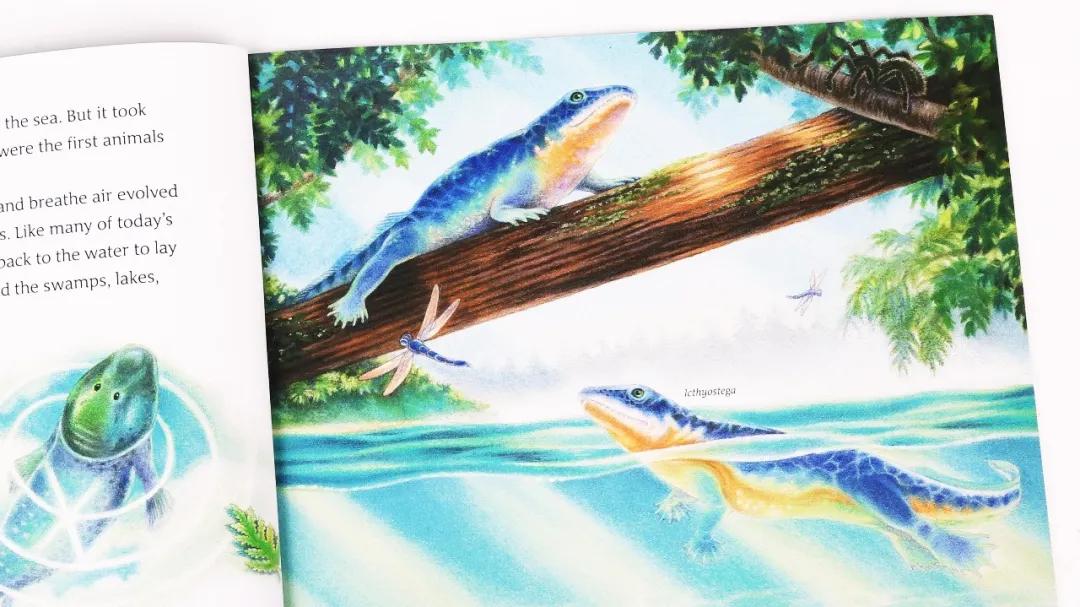 探秘恐龙世界关于恐龙的资料,恐龙世界科普知识