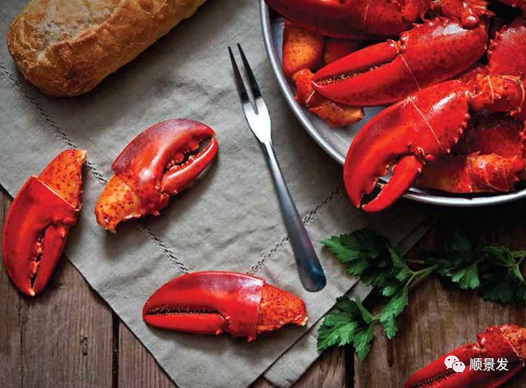 海鲜陆冻和船冻,冷冻海鲜进口知识大全