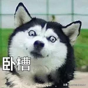 被黑又洗白的明星,没有一点黑历史的明星