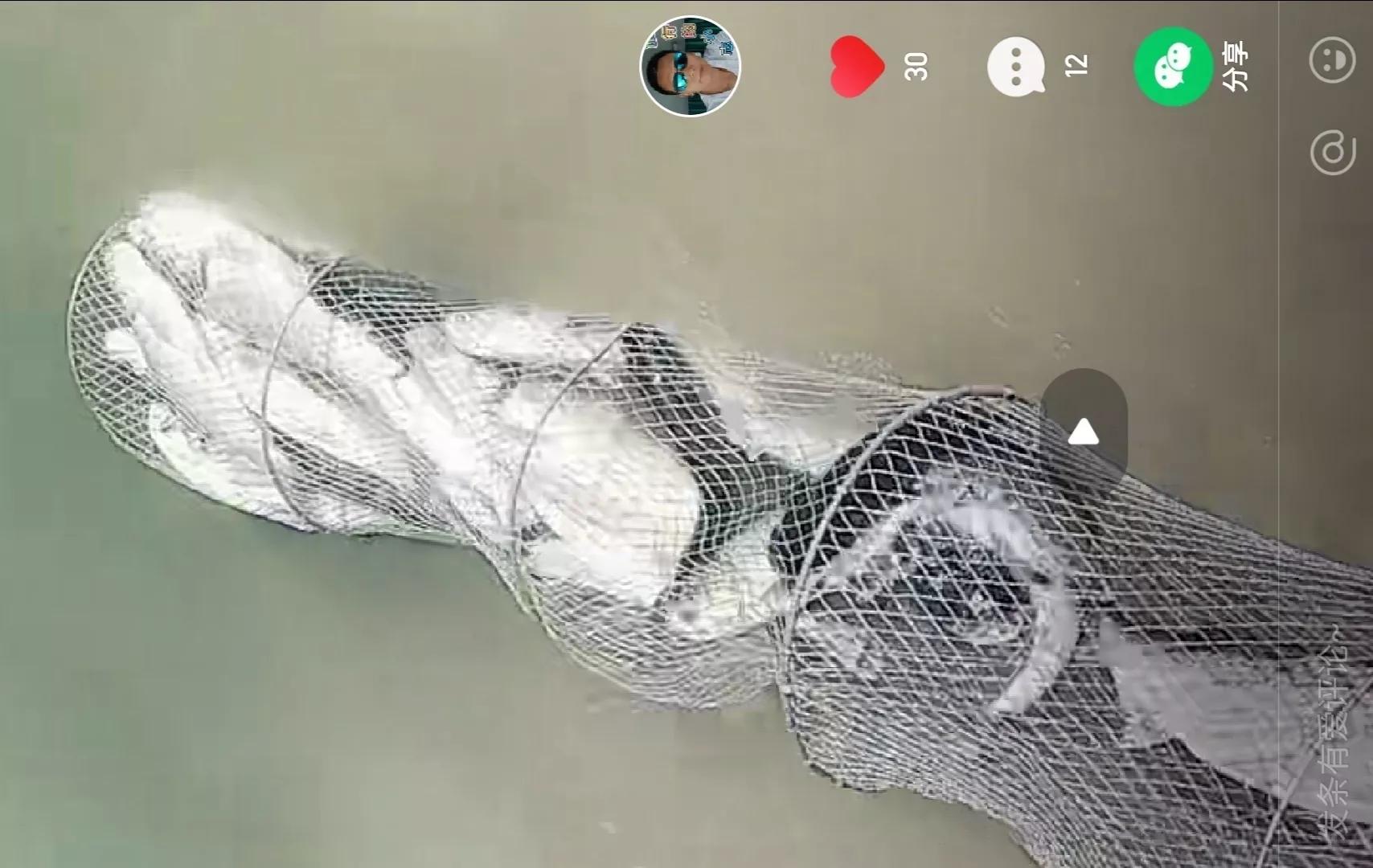 钓大鱼的技巧与口诀大全,野钓大实话