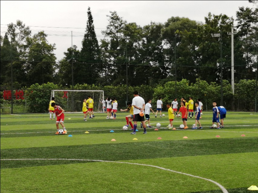 四川文化品牌发展促进会,四川省品牌建设促进会人员