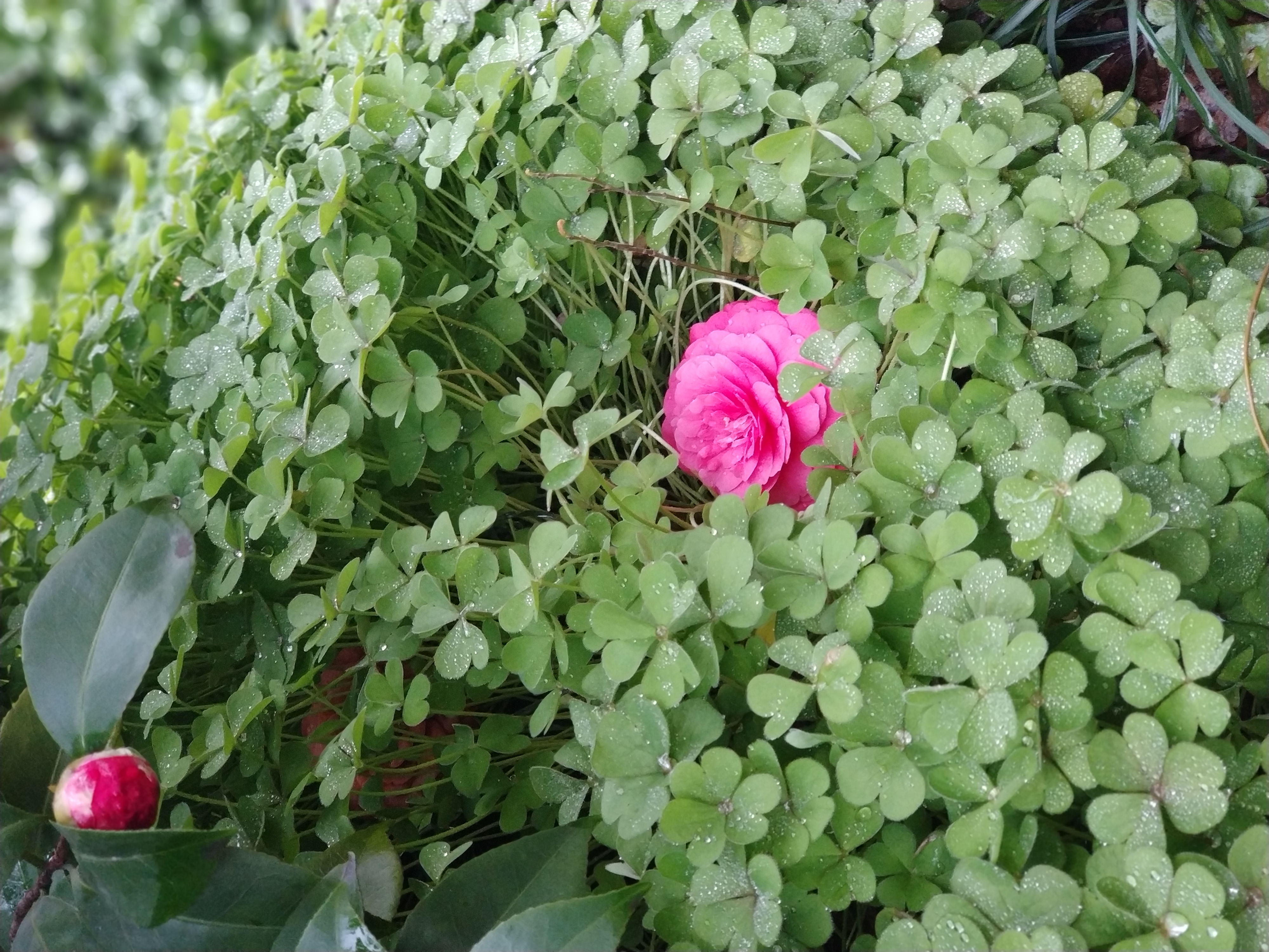 专注地数数，开启温暖的春时令