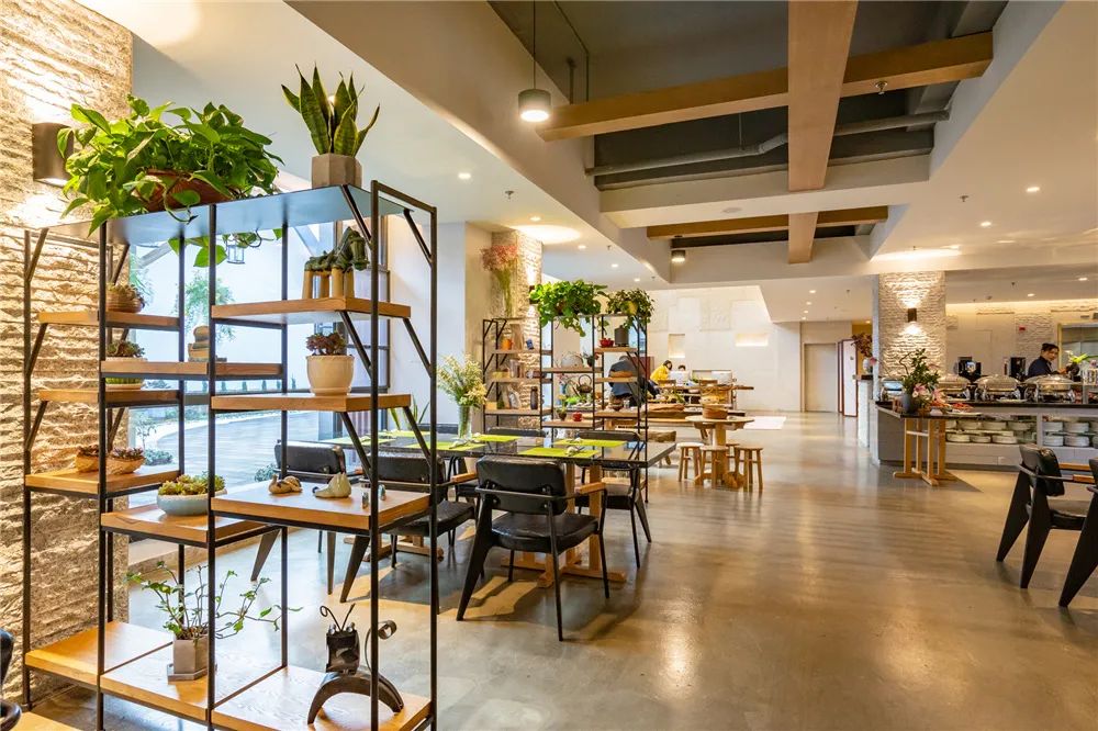 来雅安旅游,雅安二郎山休闲特色民宿