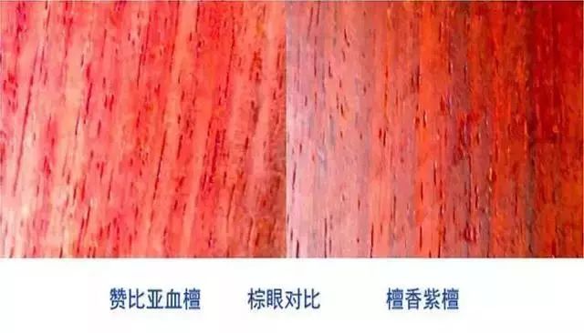 紫檀只戴11个珠子行不行,紫檀只有棕眼牛毛纹