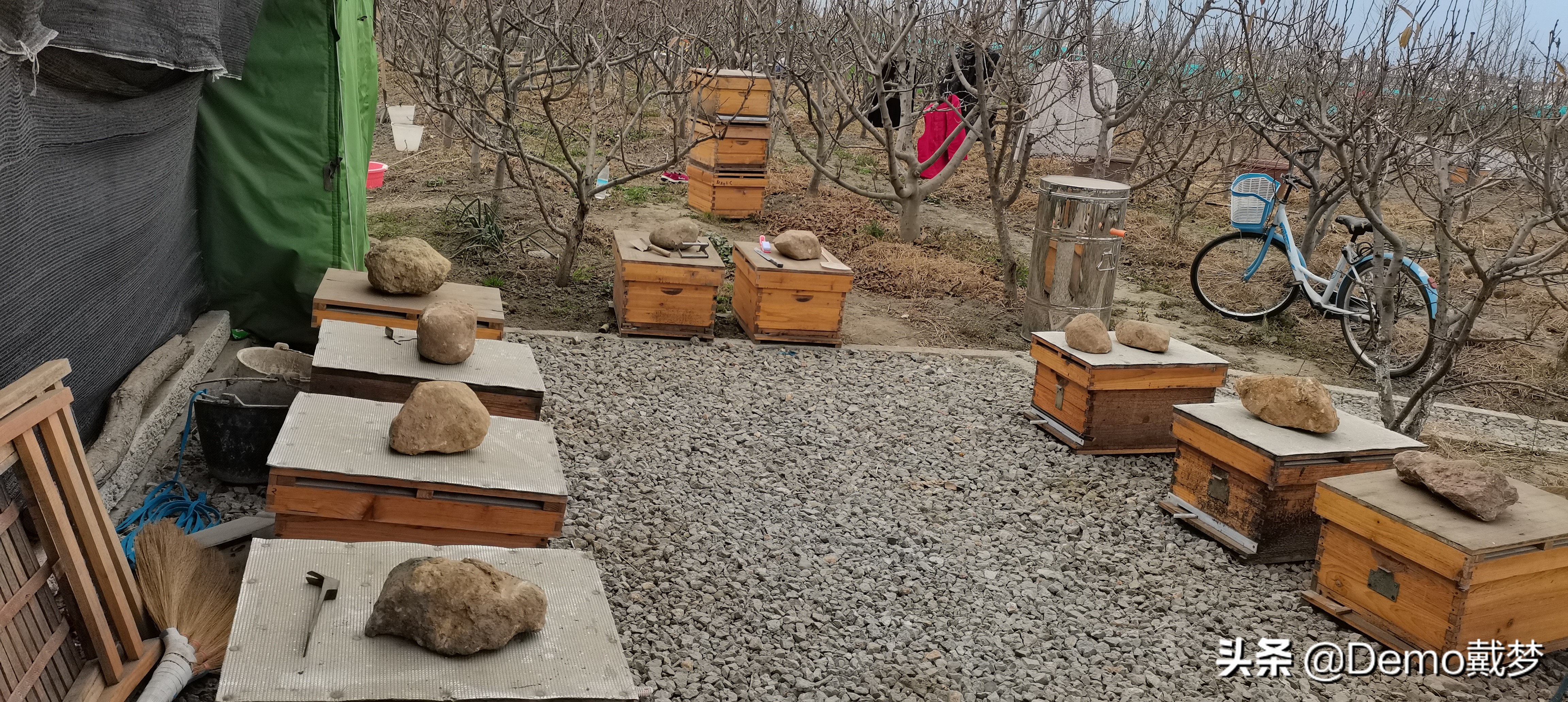 一群流浪的养蜂人,流浪的养蜂人