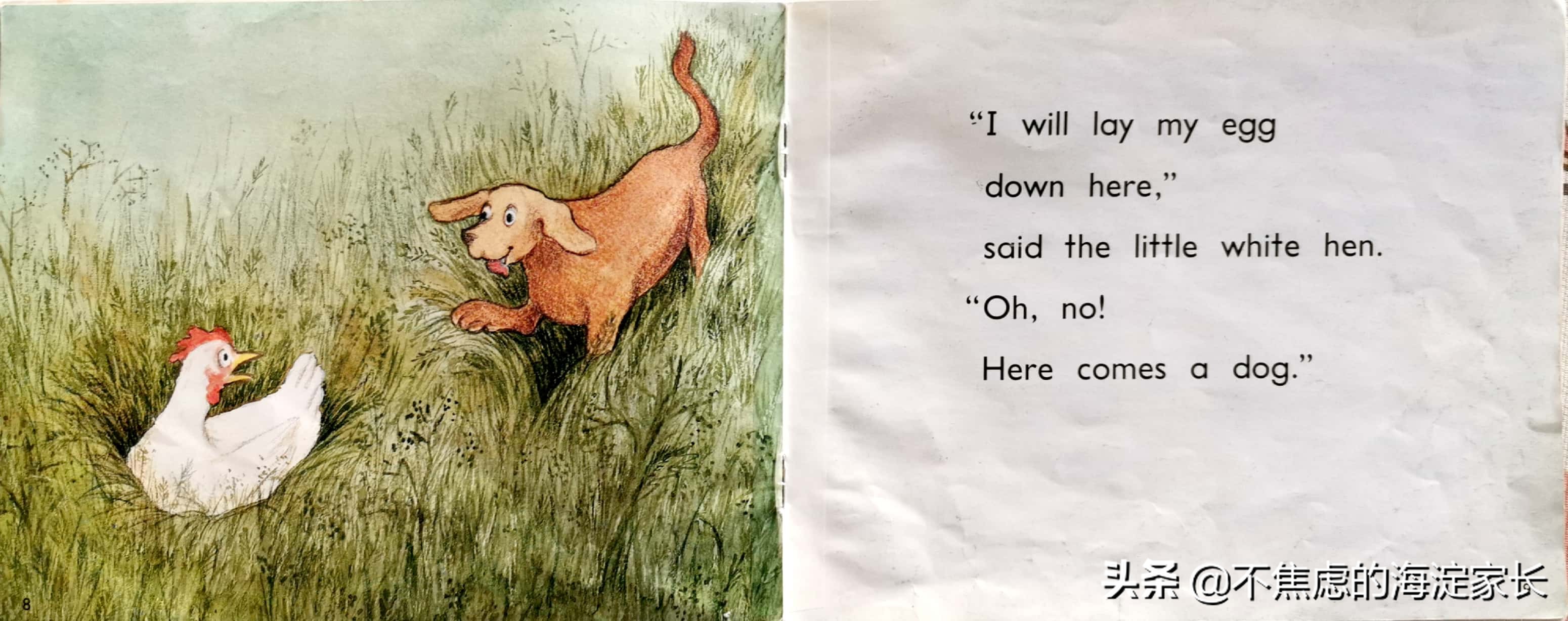 二年级新西兰本土读物,新西兰一年级小学生读物